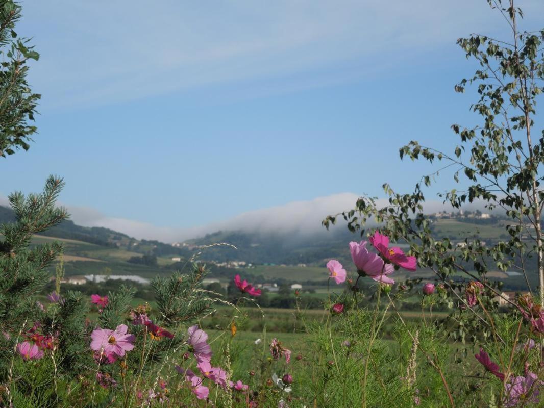 לינה וארוחת בוקר Saint-Joseph  Relais De Navon מראה חיצוני תמונה